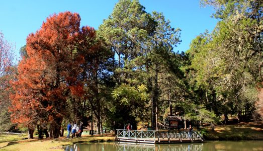 Campos do Jordão além do centrinho – 3 Áreas ambientais e 9 Parques