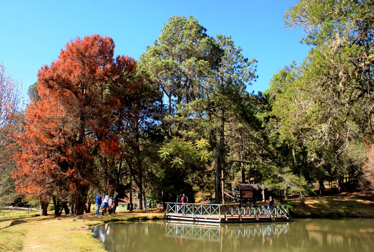 Campos do Jordão além do centrinho – 3 Áreas ambientais e 9 Parques