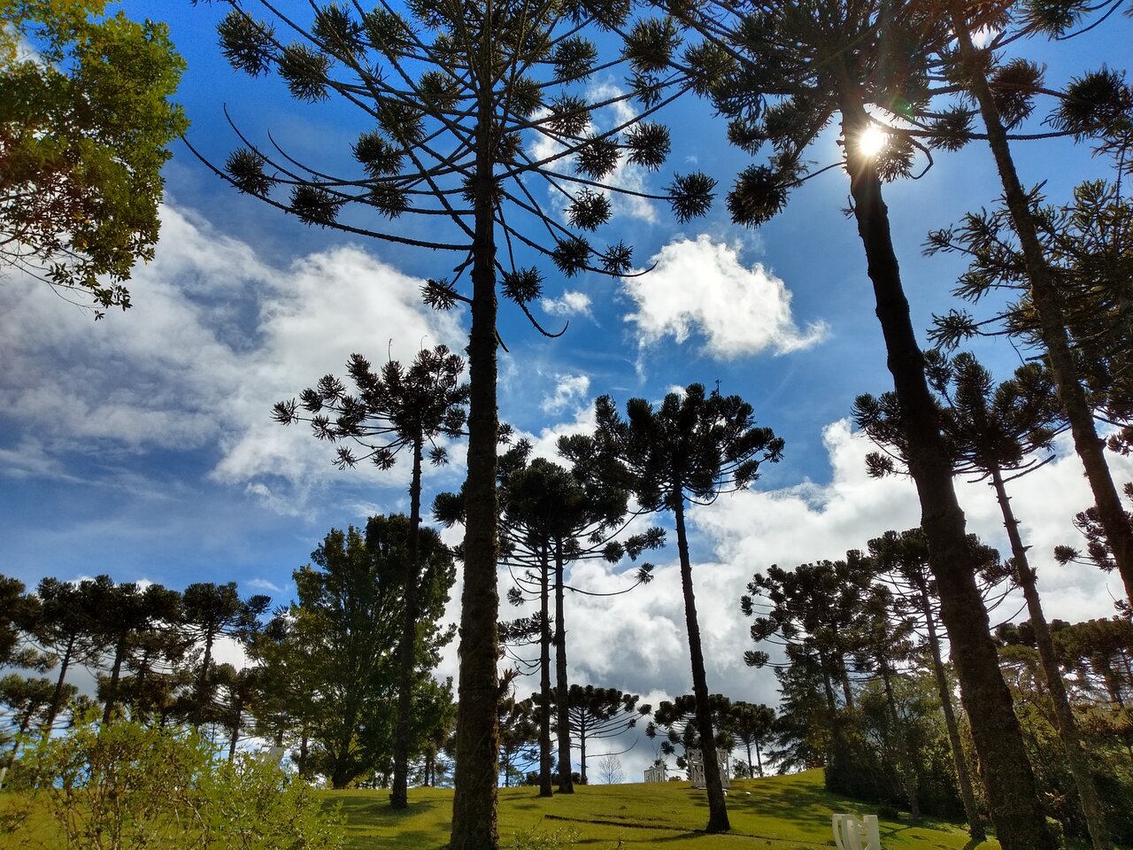 Parque Campos do Jordão : 15 passeios para aproveitar