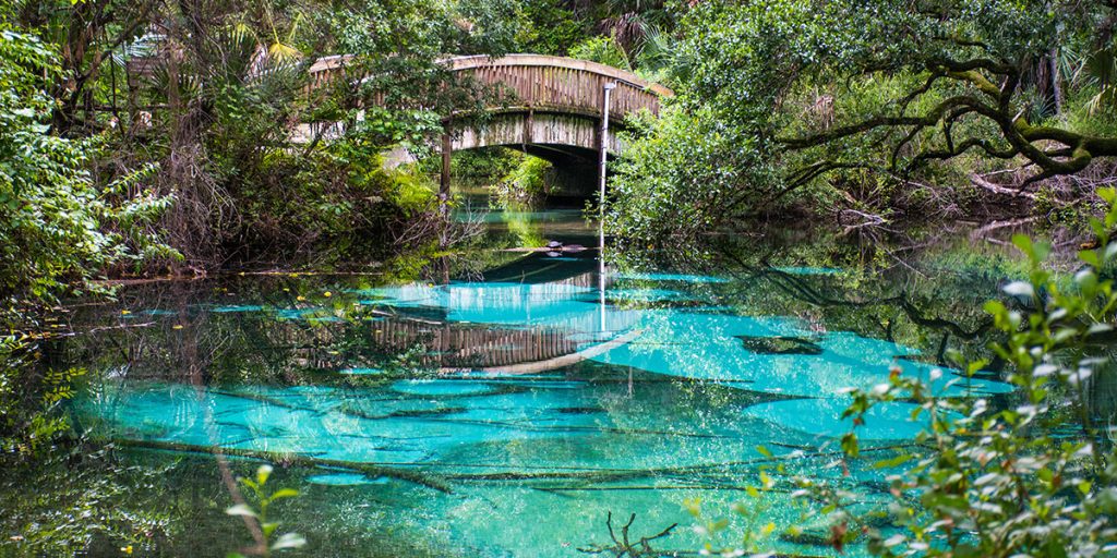 Ocala National Forest