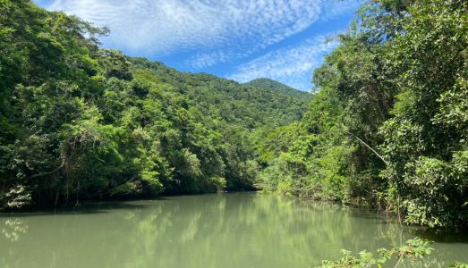 5 passeios gratuitos no Rio de Janeiro: Parques Naturais