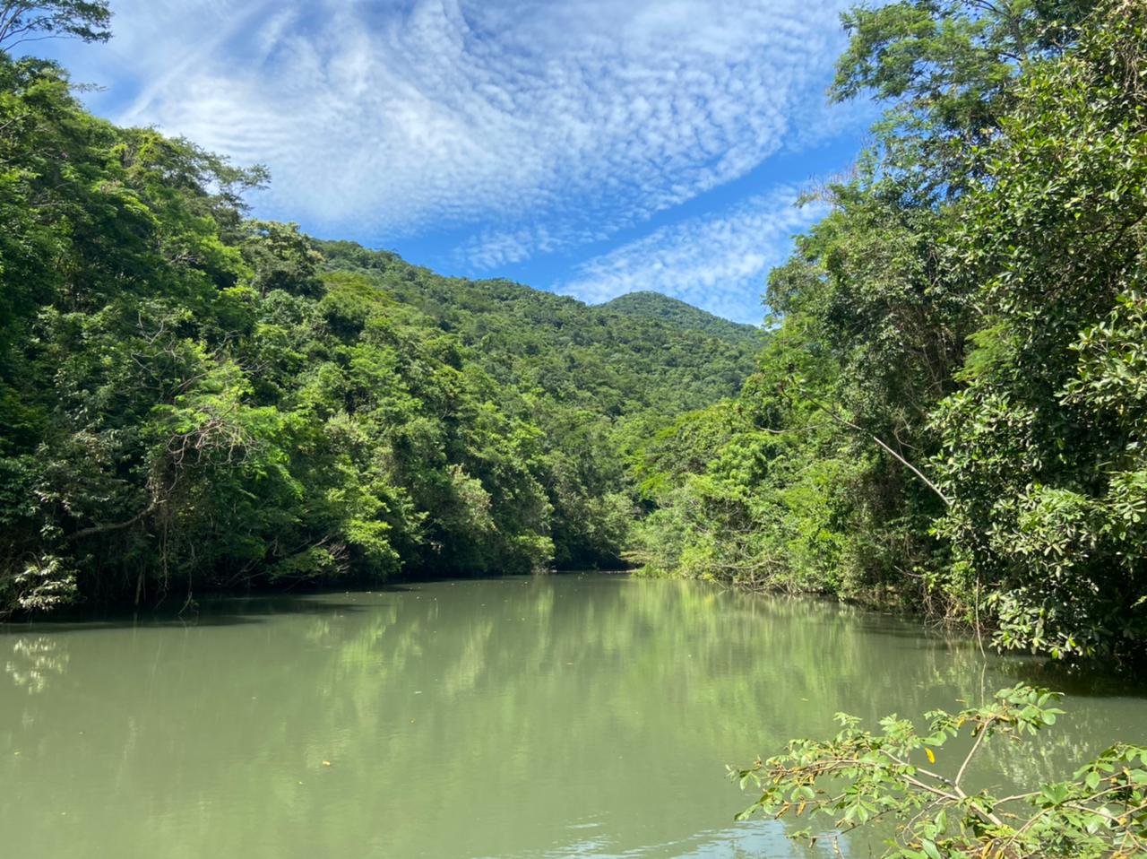 5 passeios gratuitos no Rio de Janeiro: Parques Naturais