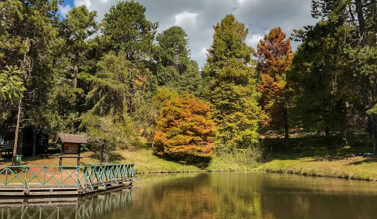 Parque Campos do Jordão