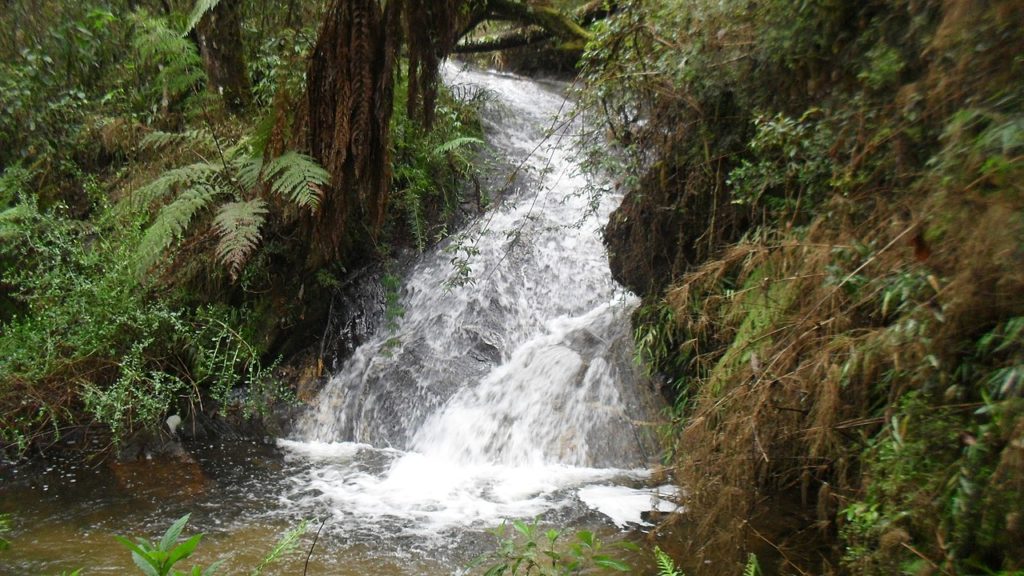 Cachoeiras em Campos do Jordão