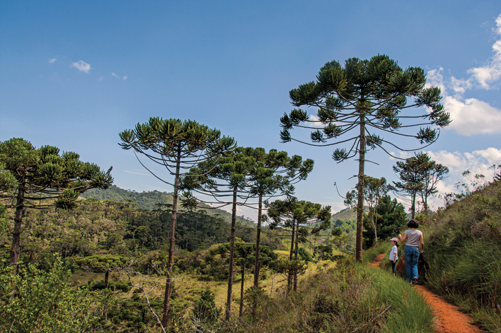 Parque Campos do Jordão