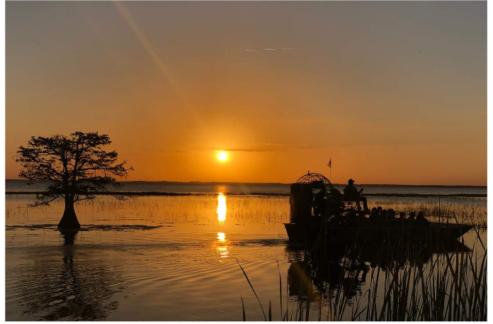 Sunset Tour at Boggy Creek Airboat Adventures