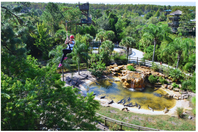 Gatorland