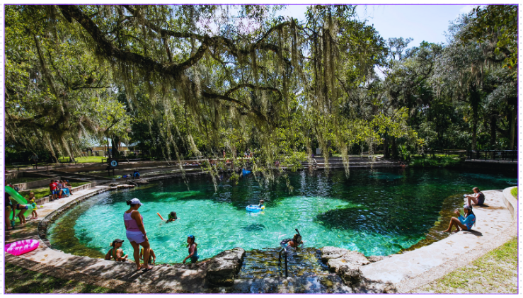 Juniper Springs