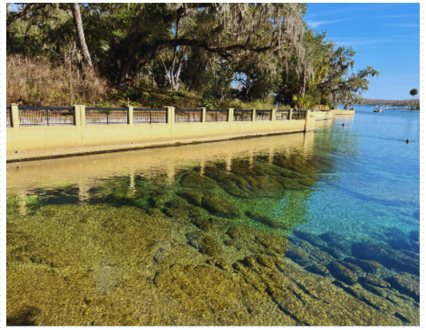 Salt Springs