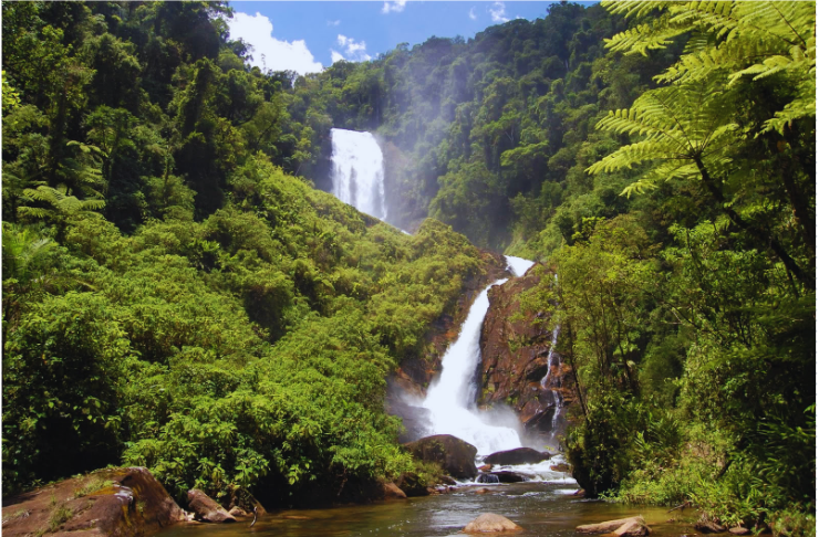 Caminho de Mambucaba - cachoeira do Veado