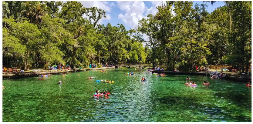 Wekiwa Springs State Park