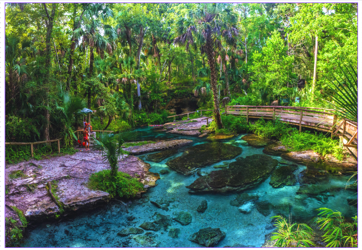 Orlando além dos parques- 5 dicas - Wekiwa