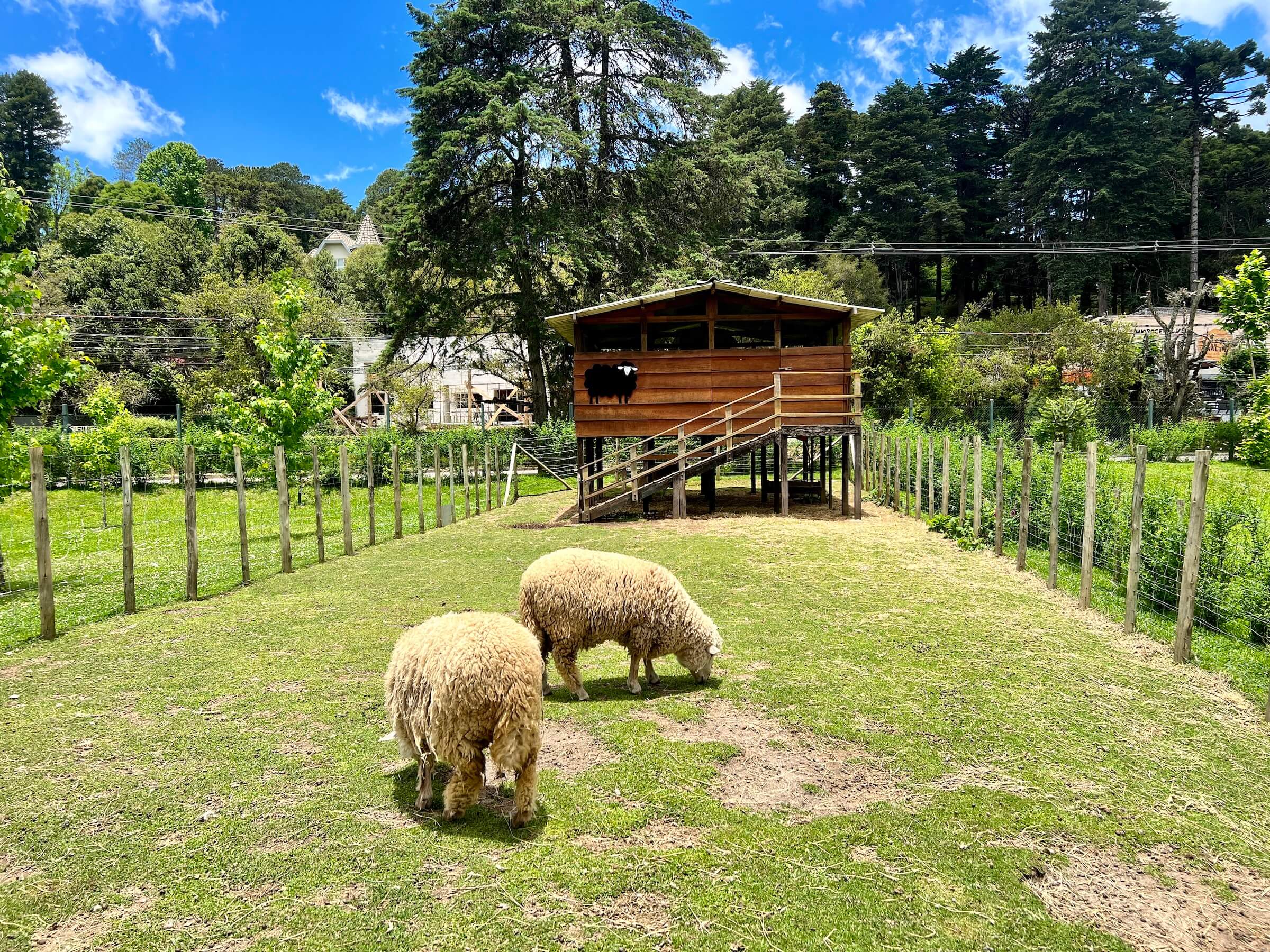 Campos do Jordão com crianças