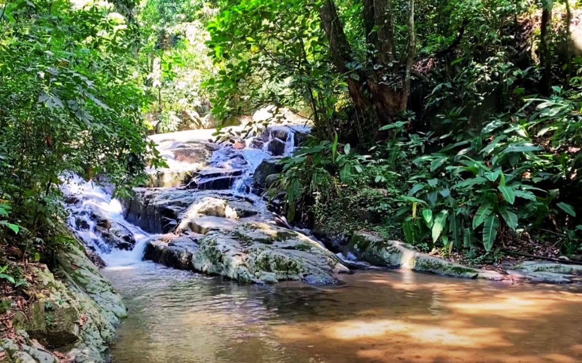 Parque perto de Campos do Jordão