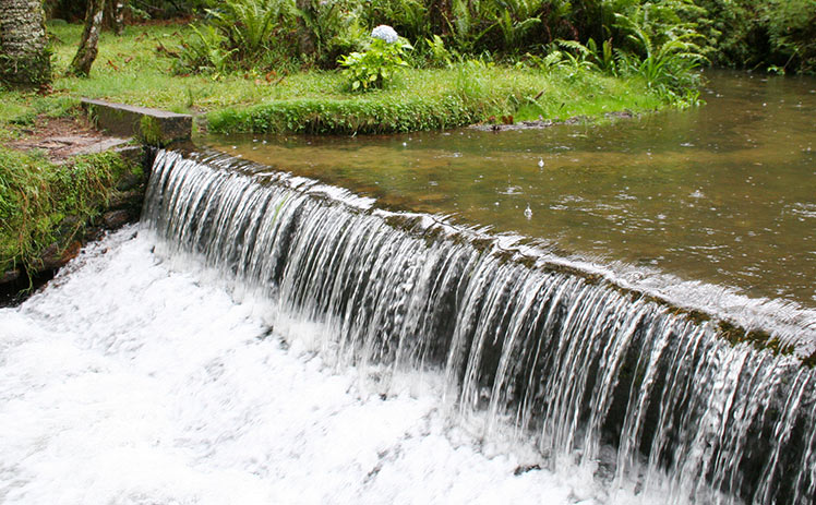 Trilhas em Campos do Jordão