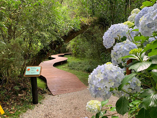 Passeios em áreas naturais em Campos do Jordão