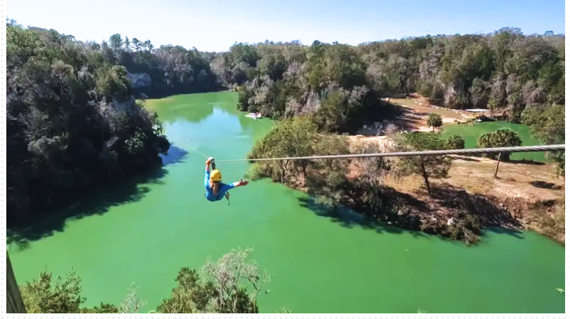 Passeios na Flórida: Floresta Nacional de Ocala com 5 dicas