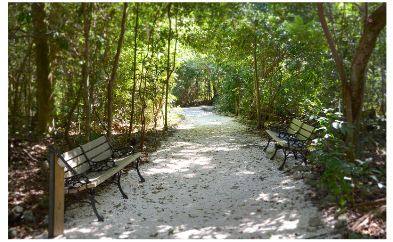 Áreas naturais em Miami