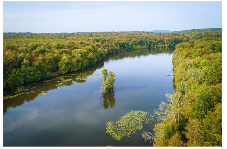 Biodiversidade na França