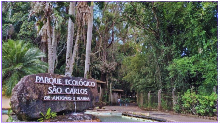 Passeios na região de Ribeirão Preto: 5 dicas INCRÍVEIS