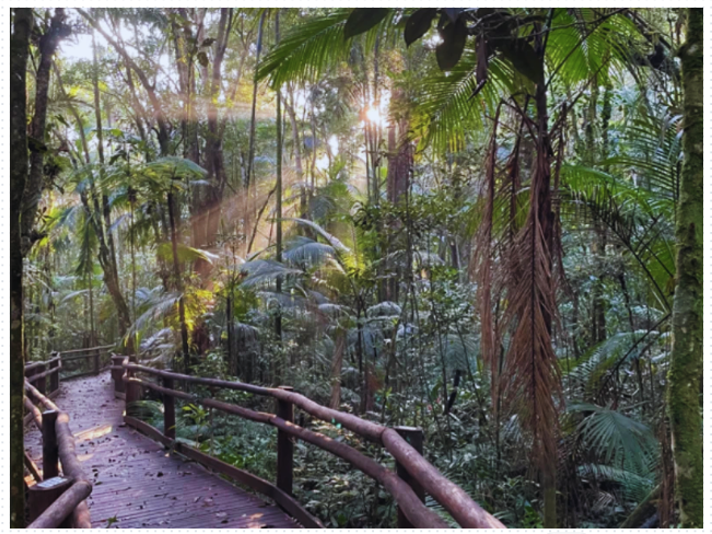 Parque Carlos Botelho