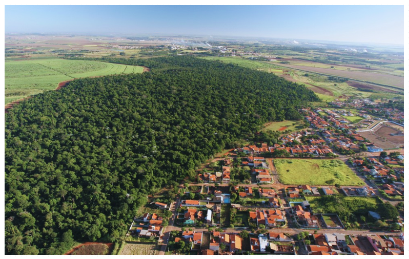 Vista aérea Mata de Sta Genebra