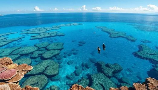 Área de Proteção Ambiental Costa dos Corais: Explore este Paraíso Natural