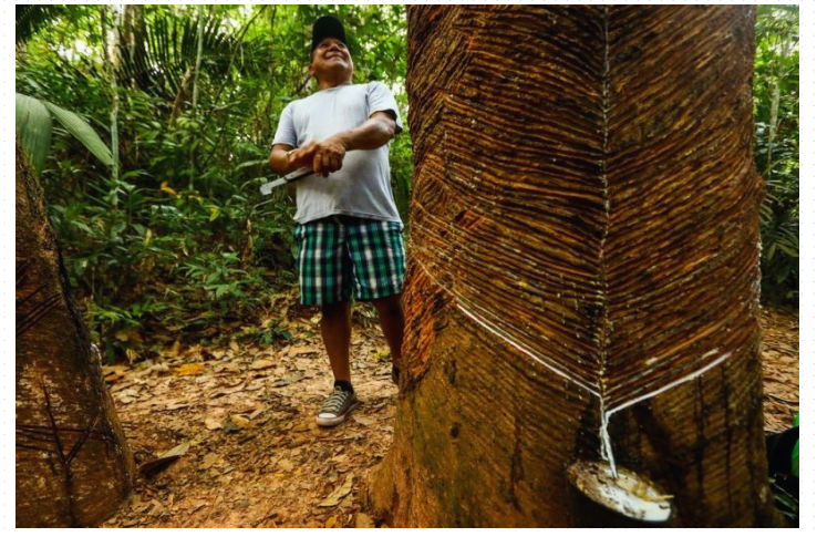 Guia ambiental amazônia