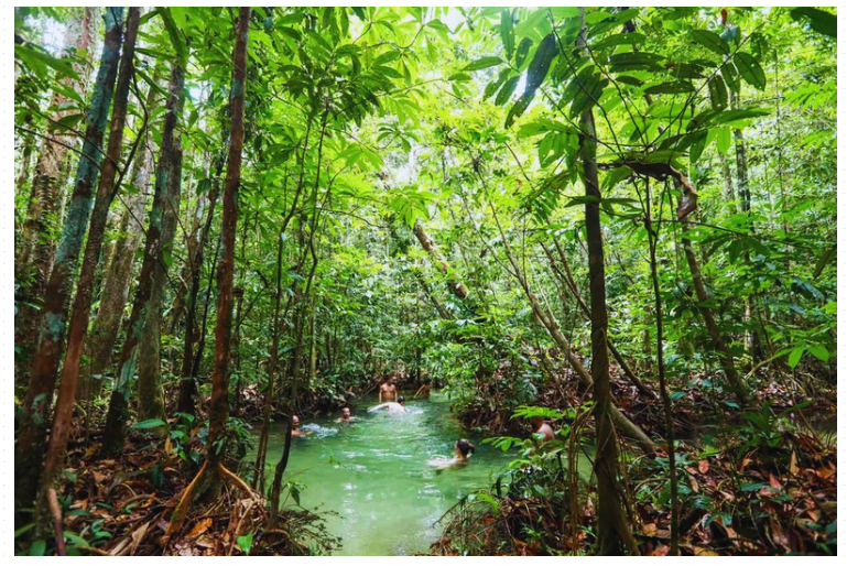 O que fazer na Amazônia