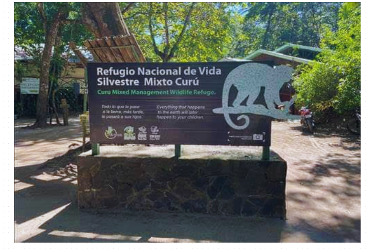 Vida animal Costa Rica