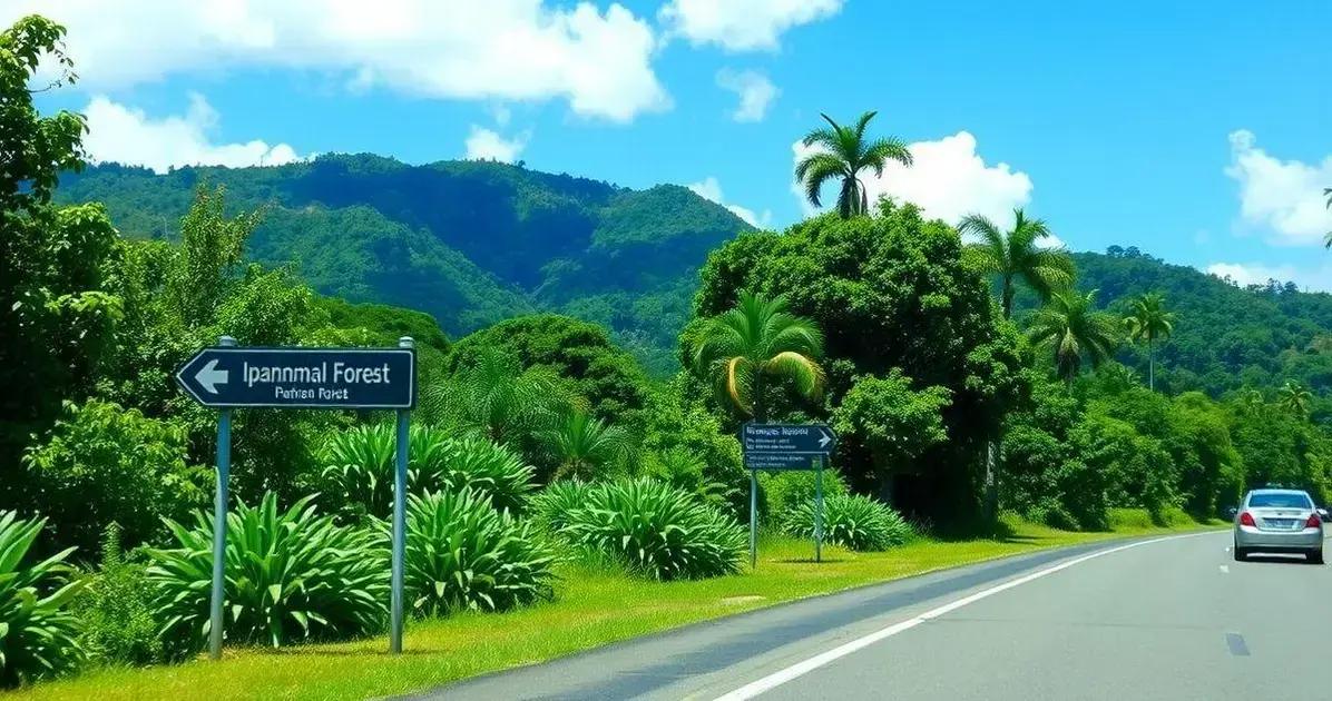 Como chegar à FLONA Ipanema