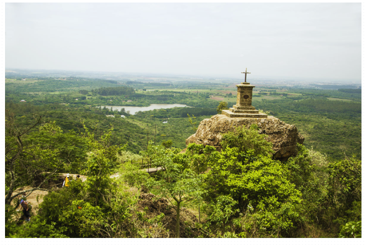 Melhor dica Flona de Ipanema