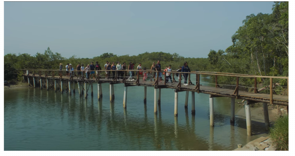 Trilha na Ilha do Cardoso