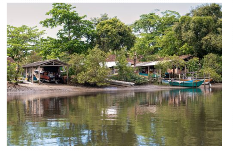 Caiçara Ilha do Cardoso