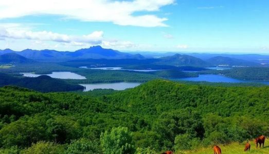 Parque Nacional da Terra do Fogo: Uma Aventura Imperdível na Natureza