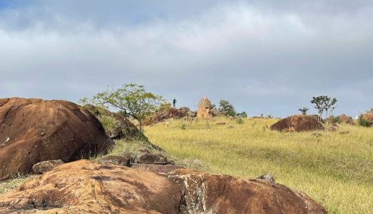 Ecoturismo em Campinas: 5 passeios INCRÍVEIS e BARATOS