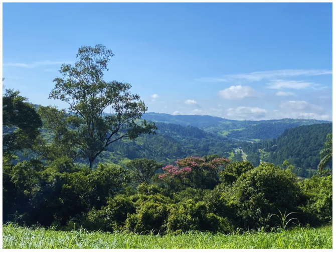 Café da manhã em Campinas