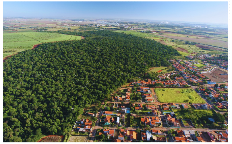 Passeios em Campinas