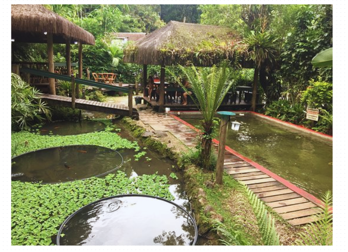 Restaurante em Peruíbe: Onde comer em Peruíbe