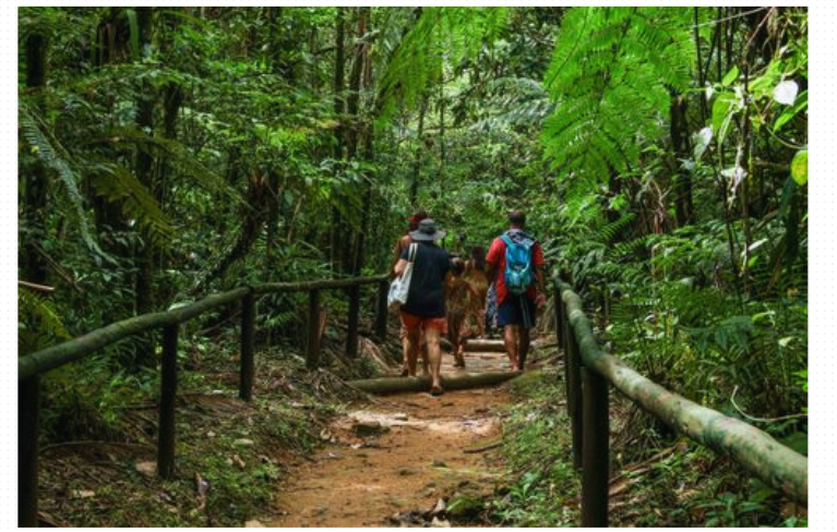 Caminhada em Peruíbe