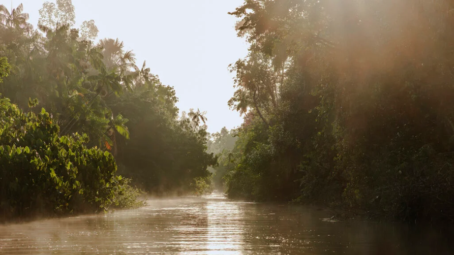 O que fazer em Belém