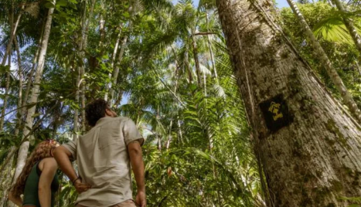 Ilha do Combú: 5 dicas + comidas típicas